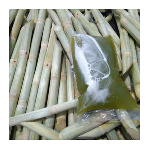 อ้อยสดแช่แข็งขนาดตัด-ค่า Brix สูงและเหมาะสำหรับการบีบหรือการบริโภคโดยตรง - Product Image 3