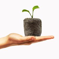 Vente en gros de disques de granulés Cocopeat Wonders pour l'agriculture améliorant la santé des sols et des plantes