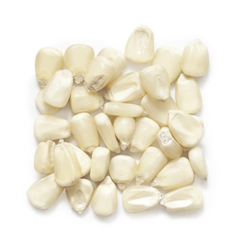 Органическая Премиум Горячая Скидка белая кукуруза без ГМО для продажи