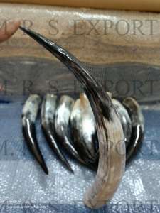 Cornes de boeuf finies naturelles 100% de la société de fabrication indienne Corne à boire Viking Corne de buffle sans danger pour les aliments Prix très bas - Product Image 4