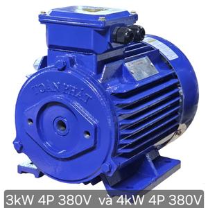 Meilleur prix anti-goutte IP55 IP56 boîtier en fonte noyau de cuivre Vietnam manufacture moteur électrique triphasé AC moteur électrique - Product Image 2