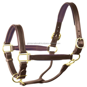 Recién llegado, equipo para caballos, resistente, Havana Brown, cabestro de caballo de cuero acolchado suave personalizado con costuras de borde duraderas - Product Image 4