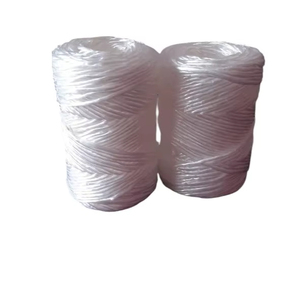 Cuerda de PP Trenzada Ecológica de Alta Resistencia, la Más Vendida, para Empaquetado en Bobinas, Directo del Fabricante - Product Image 1