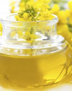 Venta al por mayor de aceite de canola orgánico sin OGM, aceite de cocina vegetal prensado en frío, alimentos saludables económicos - Product Image 5