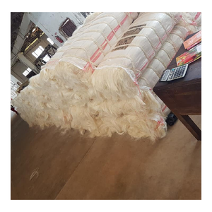 Fibre de sisal de qualité UG de haute qualité Matériau durable beige naturel adapté aux brosses de tapis de fabrication de cordes et à l'utilisation industrielle - Product Image 2