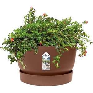 Lot de 2 <span class=keywords><strong>pots</strong></span> et jardinières d'extérieur <span class=keywords><strong>Elho</strong></span> Greenville Bowl 33, couleur gingembre, 32,5 x H 19,4 cm - Product Image 3