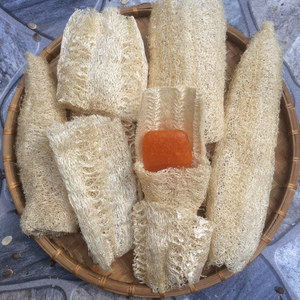 Éponge de luffa séchée de qualité supérieure épurateur de corps Luffa naturel écologique pour exfoliation de douche et nettoyage de cuisine exportation du Vietnam - Product Image 6