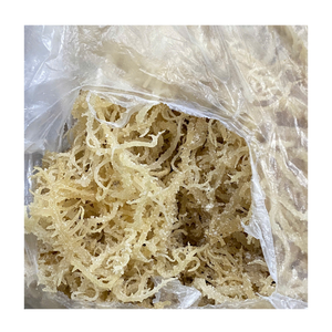 Materia prima de musgo marino seco de algas marinas Eucheuma Cottonii utilizada para aditivos de alimentación animal, nutrición de acuicultura y enriquecimiento del suelo - Product Image 3