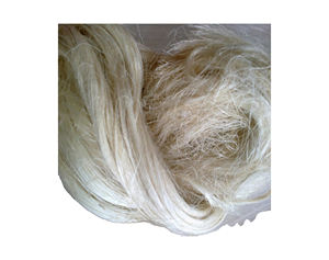 Fibres de sisal de qualité supérieure pour exportateurs (100 % sisal naturel) - Achetez des cordes torsadées en sisal pour gypse à prix avantageux - Product Image 5