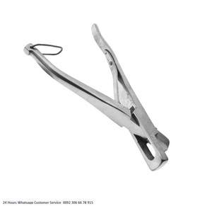 Oveja de cordero veterinaria - Product Image 2