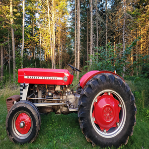 Tractor agrícola Massey Ferguson 135 4WD bastante usado a la venta, calidad superior con entrega rápida y exclusivo - Product Image 3