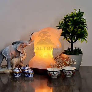 Top produit lampe de sel en forme de dauphin vente chaude lampe de sel en forme de dauphin pour vente en ligne fabriqué au Pakistan - Product Image 5