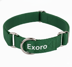Collar de Adiestramiento para Perros de Nailon de Doble Capa Resistente y Duradero 2026 con Anillo en O y Costuras, Collar Personalizable para Perros - Product Image 1