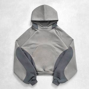 Sweat-shirts à capuche décontractés pour hommes, coupe régulière, en polyester/coton épais, style streetwear personnalisé, color block, pour l'hiver, vente en gros de haute qualité - Product Image 1