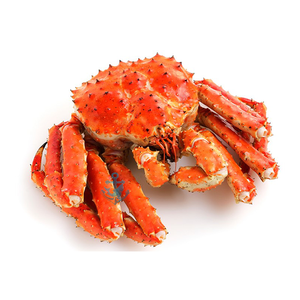 Crabe royal chilien congelé de qualité supérieure, provenant d'Allemagne, fourni en grandes quantités pour les acheteurs commerciaux - Product Image 3