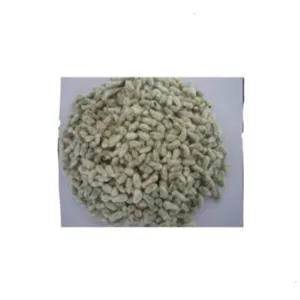 Semilla de algodon organico Premium Grade Cotton Seeds at wholesale & retails dried cotton seeds