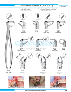 คีมถอนฟันแบบอเมริกัน คุณภาพระดับมืออาชีพ ผลิตจากสแตนเลส ใหม่ จำนวนมาก ราคาถูก - Product Image 5