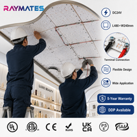 Feuille LED flexible ultra-mince professionnelle RAYMATES UL 2835, panneau LED haute densité, panneau LED flexible découpable pour la pierre