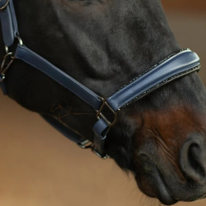 บังเหียนม้าในสไตล์อานม้าอังกฤษทำจากหนังแท้นำเสนอประสิทธิภาพและเชือกแขวนคอม้าปรับแต่งได้ - Product Image 3