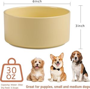 Gamelle en plastique écologique automatique et portable du fabricant OEM pour les voyages en plein air avec chiots, chiens, chats et chatons - Product Image 3