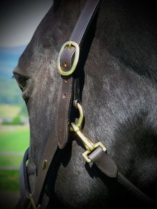 Venta caliente anatómico carreras de caballos Halter suave comodidad acolchado tocado de cuero equipo superior para deportes ecuestres - Product Image 2