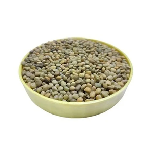 Graines de guar phali pour la production et l'exportation de gomme de guar - Product Image 2