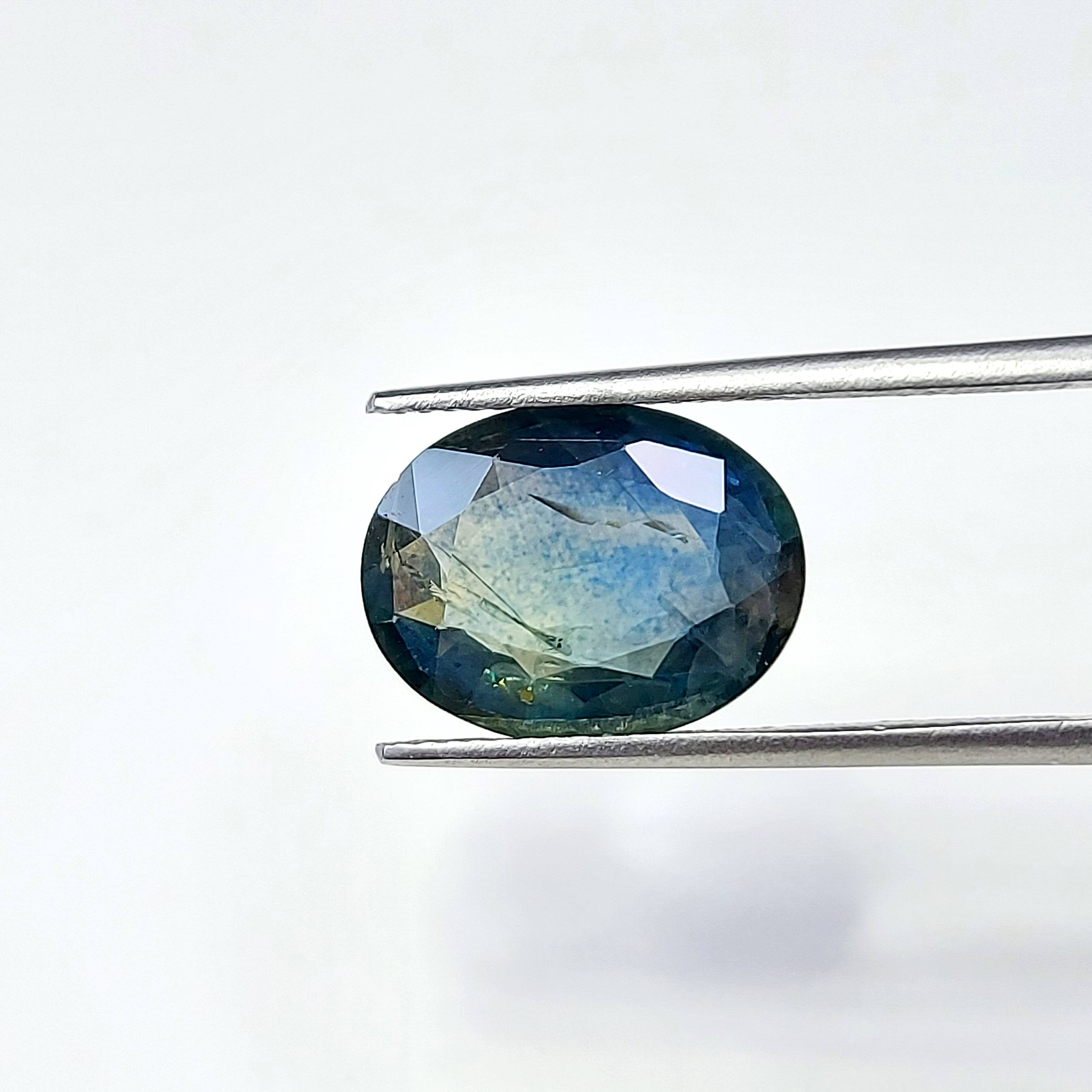 ดอกไม้ชนิดหนึ่งสีฟ้า