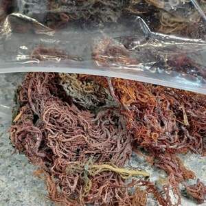 100% musgo de mar natural/algas secas de proveedor de Vietnam/alta calidad y buen precio - Product Image 2
