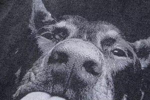 เสื้อฮู้ดสไตล์วินเทจพิมพ์ลายโดเบอร์แมนสีเข้ม เสื้อฮู้ดสไตล์ฮิปฮอปวินเทจสำหรับผู้ชาย - Product Image 5