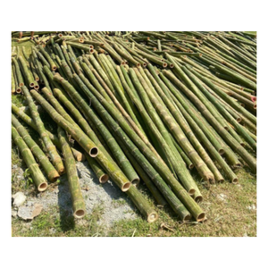 แผงรั้วไม้ไผ่แบบเวียดนามรั้วไม้ไผ่ทนทานและทนต่อสภาพอากาศรั้วธรรมชาติสำหรับขอบสวนและความเป็นส่วนตัว - Product Image 1