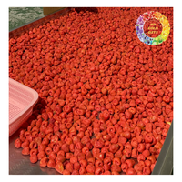 Groothandelsprijs 100% Gevriesdroogde Aardbei, Fd Gedroogd Heel Aardbeienfruit, Knapperige Gevriesdroogde Aardbeien Tegen Een Goedkope Prijs
