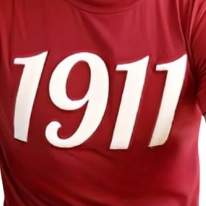 Chenille T-shirt Marron Coton KAP Grec Fraternité Vêtements Brodé Avant Collegiate Style Premium Casual Tee - Product Image 2