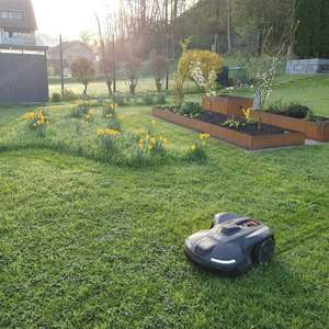 Cortacésped de fábrica de alta/calidad, cortacésped Robot, cortacésped, cortadora de césped para jardín a la venta - Product Image 6