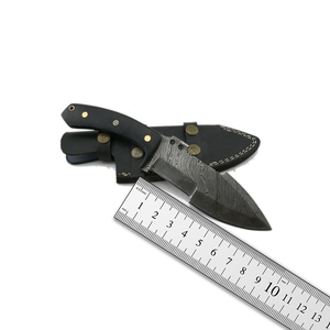 Offre Spéciale 10 pouces pleine lame en acier damas 110 couches avec poignée Micarta personnalisable OEM Camping chasse extérieur Tracker couteau - Product Image 2