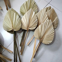 Kipas Daun Palem Kering Ramah Lingkungan, Dekorasi Rumah Tahan Lama untuk Pernikahan, Natal, Hari Valentine, Hari Ibu, Paskah