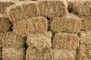 Balles de foin d'orge de qualité standard pour le bétail, avec une teneur en humidité de 12-15 %, alimentation en fibres brutes, stockées dans un endroit frais et sec, à vendre - Product Image 4