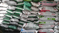 {VENTA CALIENTE 2024} -Cáscara de coco/materias primas para hacer carbón vegetal de alta calidad/buen precio exportado desde Vietnam