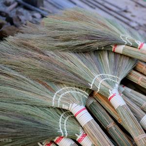 Escoba de césped ecológica, producto barato, con asas, Ms Sophie - Product Image 6