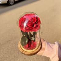 Roses éternelles préservées en dôme de verre avec lumières LED pour la Saint-Valentin, cadeaux d'anniversaire, décoration romantique pour la maison