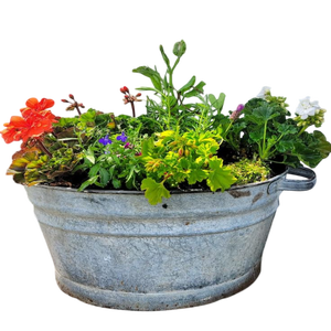 แจกันดอกไม้โลหะร่วมสมัย ดีไซน์สั่งทำ กระถางปลูกต้นไม้ชุบสังกะสี สไตล์โมเดิร์น วางบนโต๊ะ - Product Image 4