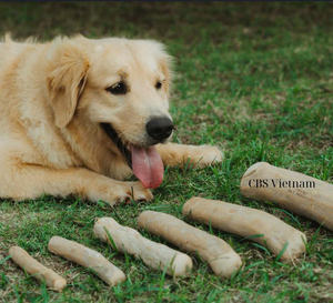 Palitos para masticar de madera de café Natural al mejor precio 100%, juguetes clásicos para masticar mascotas para perros disponibles, tamaños pequeños y grandes, embalaje duradero - Product Image 1