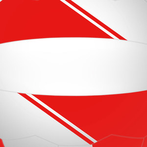 เน็ตบอลสำหรับฝึกกีฬาคุณภาพระดับพรีเมี่ยมฉลากตามสั่งผลิตจากโรงงานแฟชั่นสำหรับผู้ใหญ่ทุกเพศดีไซน์พิมพ์ลาย - Product Image 5