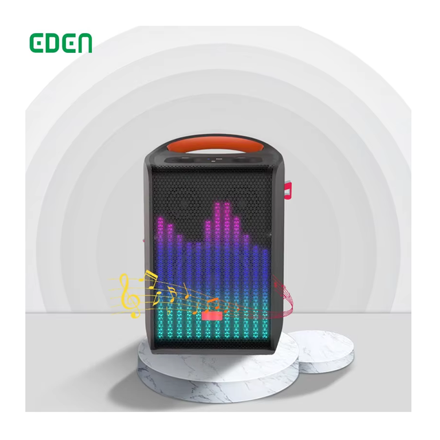 6.5 Inch 60W Outdoor & Party Speaker Strong Power Waterproof Black Wireless Portable Bluetooth Speaker