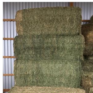 Pellets de Alfalfa Pura con Alto Contenido Proteico a Precio de Fábrica - Product Image 1