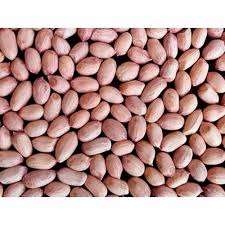 TJ Cacahuetes de calidad premium Cacahuetes grandes Cacahuetes crujientes Alta proteína Snack saludable 100% Natural Recién tostado Crudo - Product Image 4