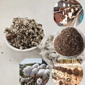 Casco de semilla de algodón para aves de corral, cabra y ganado, casco de semilla de algodón para la industria de alimentación animal, suministro a granel en gran cantidad - Product Image 5