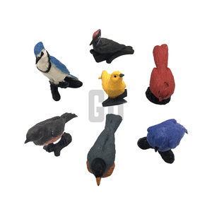 Paquete de Explorador de Aves Pequeñas, Juguete Educativo de la Naturaleza para Niños - Product Image 1