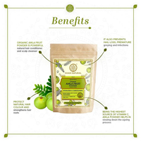 Khadi Poudre de Fruit Amla Biologique Naturel-100% Naturel-100g