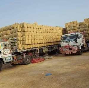 High Quality Premium Grade Eco-Friendly Dried Natural Wheat Straw Bale Bulk Supply Pakistan for Global Cattle Feed Importers - Product Image 2