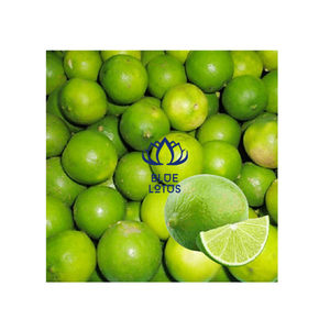 La lime sans pépins du Vietnam de haute qualité est maintenant disponible - Product Image 1